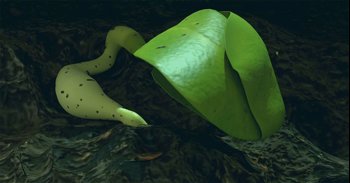 La minibiosfera china en la Luna consiguió dos hojas de algodón