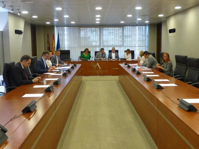 La Asamblea exige la retirada "inmediata" del amianto de la cubierta del colegio