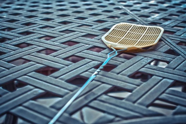 Fly Swatter