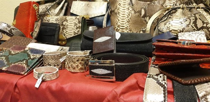 Desmanteladas dos tiendas que vendían falsificaciones y complementos hechos con caimán, serpiente y manta raya