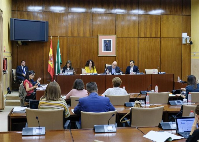 Imagen de la Comisión de Igualdad del Parlamento de Andalucía, con la comparecencia este jueves de la consejera, Rocío Ruiz.