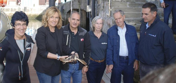 El Aquarium Donosti y el Centro de Fauna Silvestre de Bizkaia devuelven al mar un ejemplar de tortuga boba.