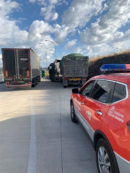 Imagen de los camiones.