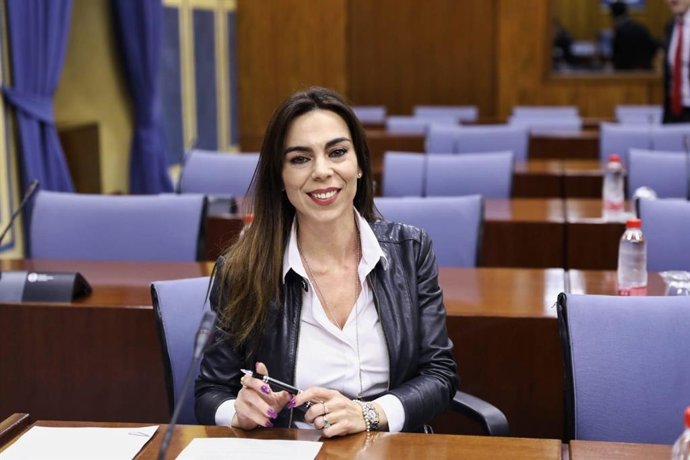 La parlamentaria de Ciudadanos por Málaga, Teresa Pardo, en comisión parlamentaria.