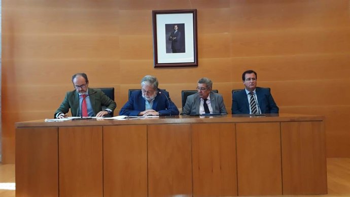 Junta Local de Seguridad de Dos Hermanas