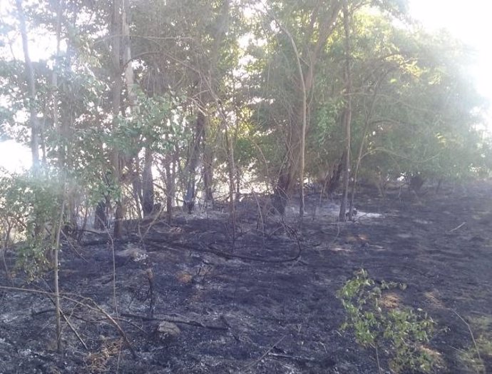 Superficie quemada en un incendio forestal en Purullena