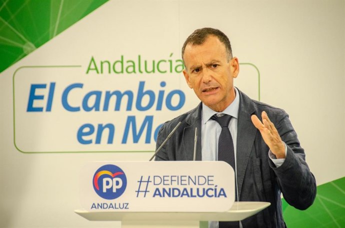 El vicesecretario de Sectores Productivos del PP-A, Pablo Venzal, en rueda de prensa este viernes