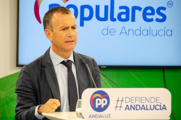 El vicesecretario de Sectores Productivos del PP-A, Pablo Venzal, en rueda de prensa