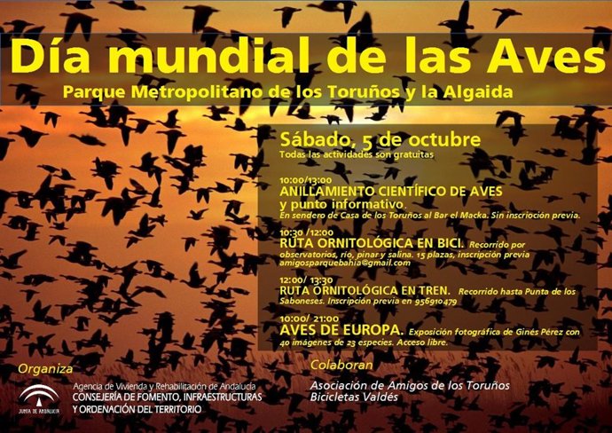 Cartel del Día de las Aves en el Parque de los Toruños