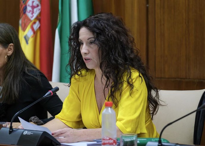 La consejera de Igualdad, Rocío Ruiz, interviene este jueves en comisión parlamentaria.