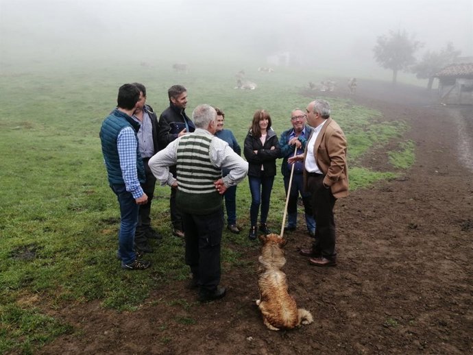 Visita del PP a Picos
