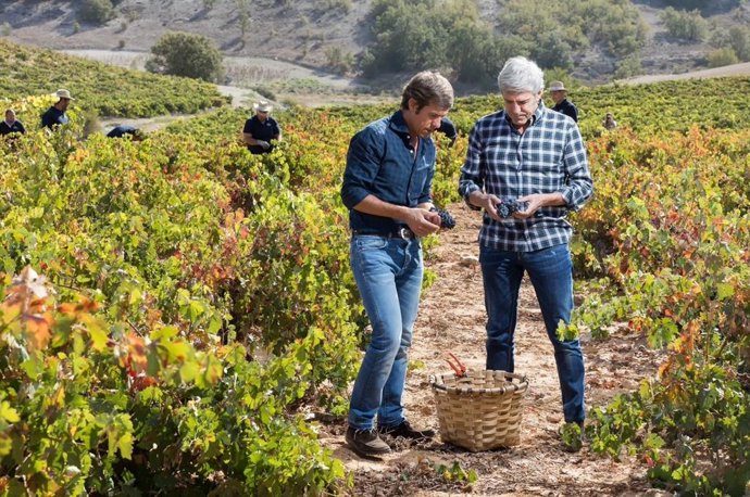 José y Javier Moro en la vendimia de Malleolus