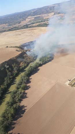 El Infoca trabaja en extinguir un incendio de vegetación de ribera en Córdoba.