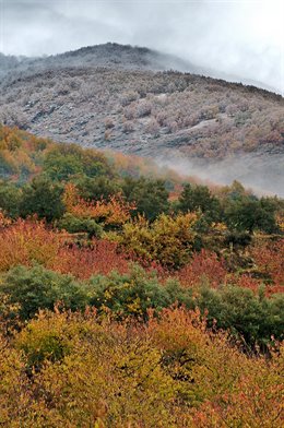 Valle del Jerte en otoño