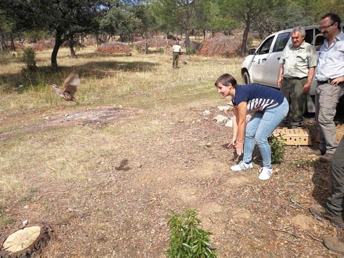 Jaén.- Suelta de perdices en el Parque Natural de Despeñaperros para mejorar la 