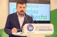 El PP-A pide esperar sobre listas electorales porque "son propuestas" y el Comité Nacional "puede hacer modificaciones"