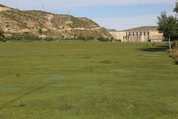 Agua.- Los embalses vuelven a bajar, hasta el 40,4% de su capacidad y se alejan 