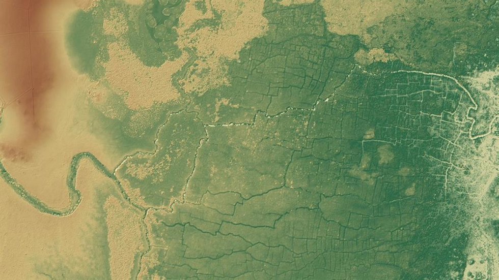 Imagen lidar de la selva en Belice, con restos de campos agrícolas mayas