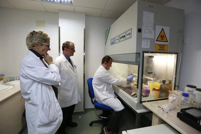 Equipo científico de Quirónsalud Torrevieja y la UCAM, de archivo.