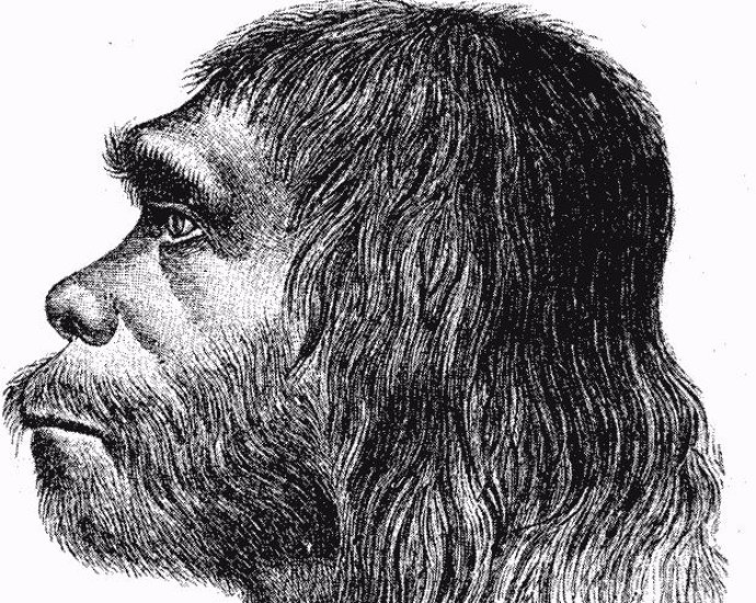 Cómo la regulación genética nos distinguió de los neandertales