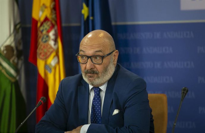 El portavoz parlamentario del grupo VOX, Alejandro Hernández 