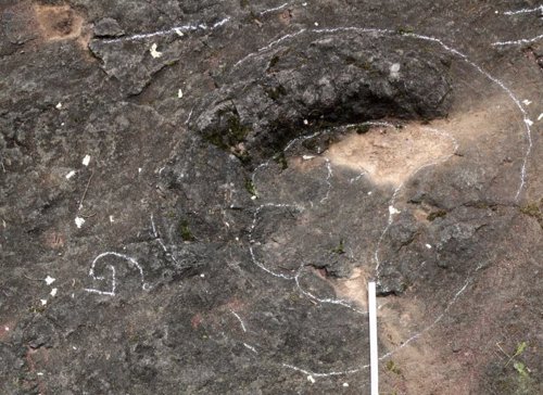 Huella de dinosaurio hallada en la provincia de Zhejiang