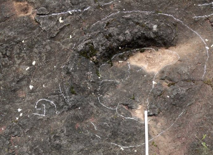 Huellas de dinosaurios de 100 millones de años descubiertas en China