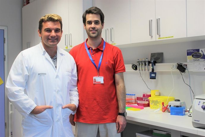 Investigadores del Instituto de Investigación Sanitaria La Fe que han participado en el estudio