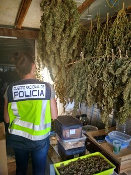 La Policía Nacional Detiene A Tres Individuos Por Un Delito De Tráfico De Drogas
