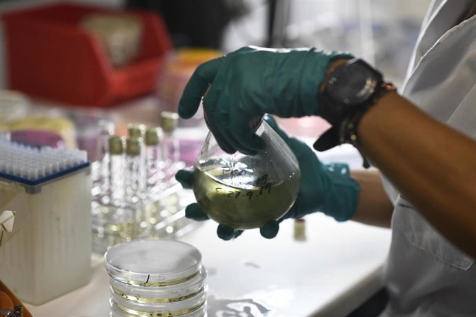 Trabajos de investigación en el laboratorio, foto de recurso