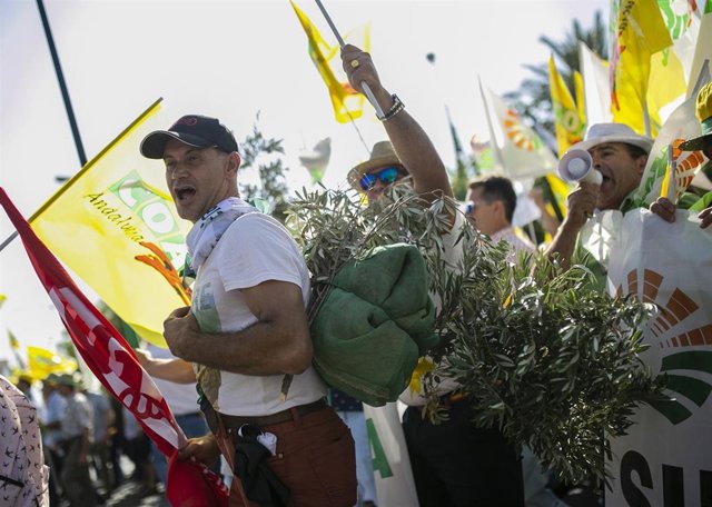 Manifestación convocada por olivareros de toda Andalucía por la crisis de precios del aceite de oliva.  (Foto de archivo).