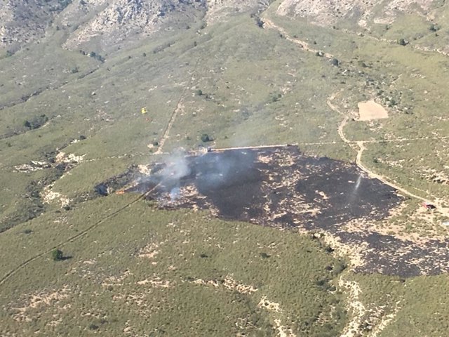 Zona afectada por incendio forestal en la Sierra de la Cabeza del Asno en Cieza