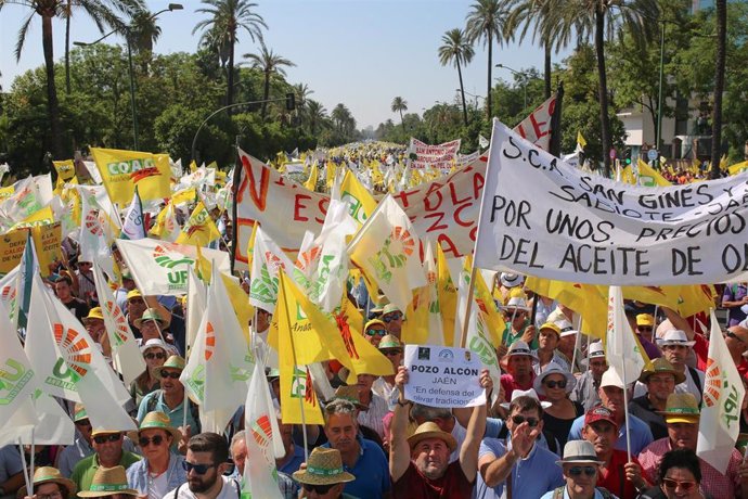 Manifestación del pasado julio en Sevilla ante la crisis de precios del aceite de oliva.