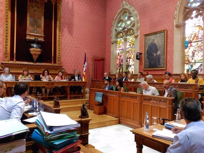 Imagen del pleno ordinario del Consell de Mallorca.