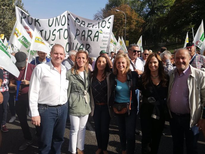 PP-A traslada en la manifestación de Madrid su apoyo al sector del olivar y al a