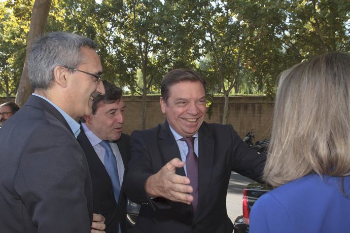 Economía.- Planas comprende la "preocupación" del sector olivarero y comparte la