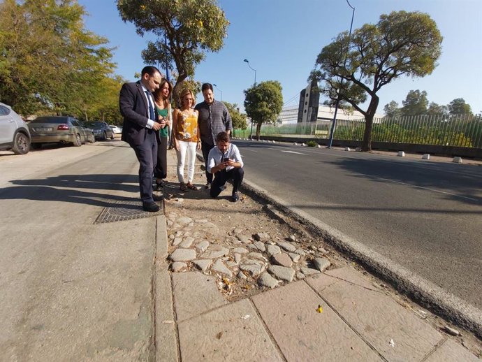 El portavoz del PP en Sevilla, Beltrán Pérez, en la Cartuja