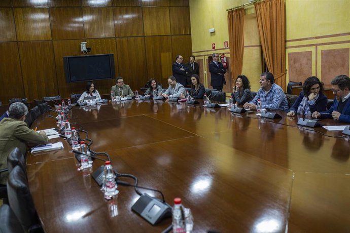 Reunión de la comisión de investigación de la Faffe, en una imagen de archivo.