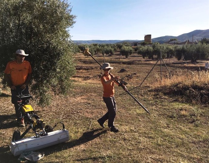 Trabajos con georradar en la zona arqueológica de Fuente del Álamo