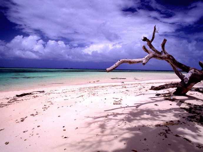 I.Marshall.- Islas Marshall declara la crisis climática nacional y alerta de la 