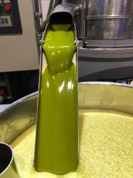 Jaén.- Asaja cifra en 756.100 toneladas el enlace para la próxima campaña de ace