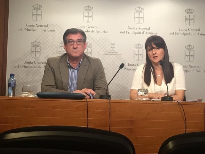 El diputado en el Congreso y candidato de Ciudadanos por Asturias, Ignacio Prendes, y la portavoz de Ciudadanos en la Junta General, Laura Pérez Macho, en rueda de prensa en el parlamento autonómico.