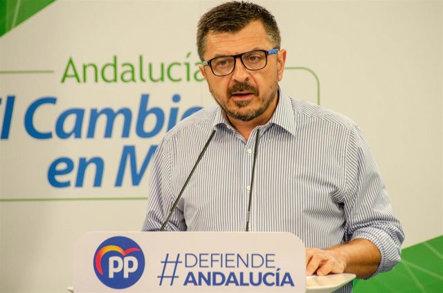 El vicesecretario general del PP-A, Toni Martín, en rueda de prensa
