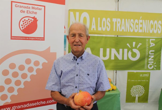 Alicante.- El agricultor ilicitano Gaspar Agulló gana el concurso de la granada 