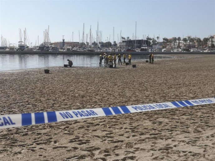 Playa acordonada en San Pedro por la recogida de miles de peces muertos en la orilla