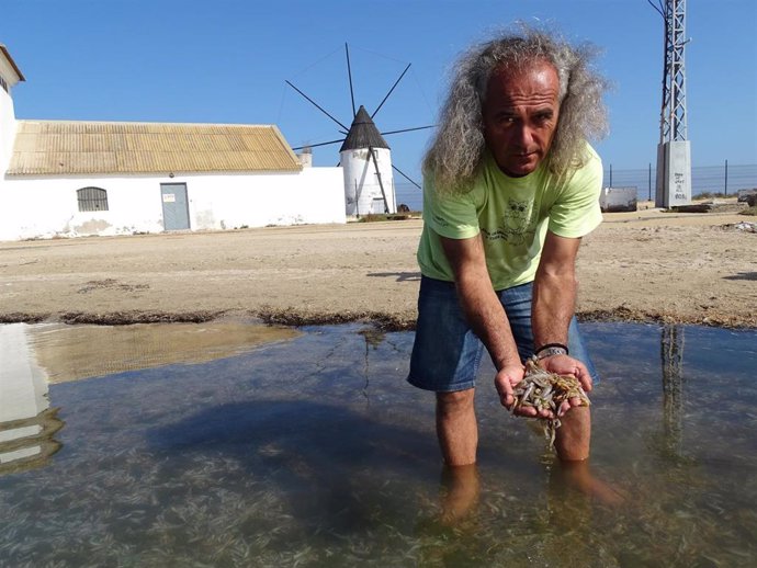 Pedro García de ANSE, recogiendo peces muertos en el Mar Menor