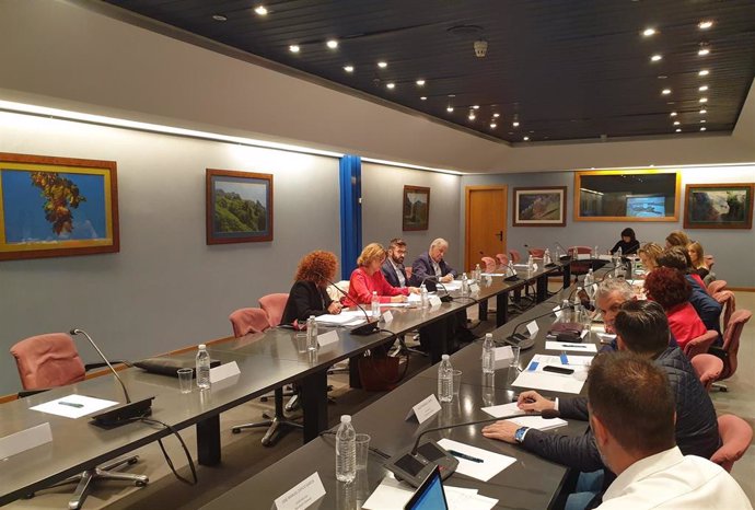 Reunión de la Comisión Mixta sobre el impacto de la transición energética en Asturias