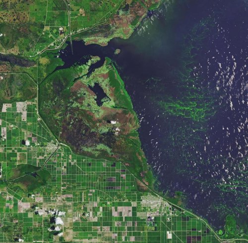 Lago Okeechobee en Florida