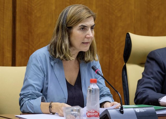 La consejera de Empleo, Formación y Trabajo Autónomo, Rocío Blanco, comparece en comisión parlamentaria.