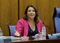 Carmen Crespo destaca en el Parlamento que "el 70% del gasto en el presupuesto de 2020 se destinará a inversión"